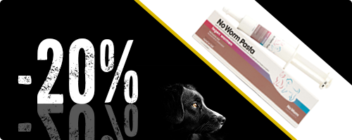 20% Rabatt auf No Worm Entwurmungsmittel für Hunde